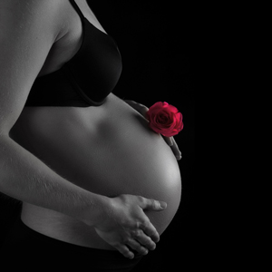 Babybauchshooting mit roter Rose vor schwarzem Hintergrund