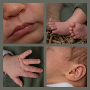 neugeborenen-fotos von babymund, babyfuesse, babyohren, babyfinger